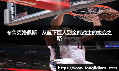 布鲁克洛佩斯：从篮下巨人到全能战士的蜕变之路